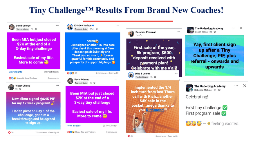 The Tiny Challenge™ Masterclass